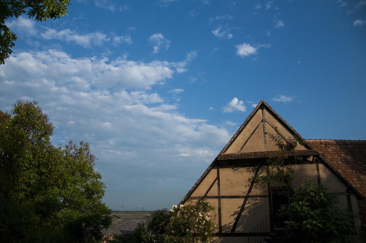 Hotel Unter Der Linde Nordheim Zewnętrze zdjęcie